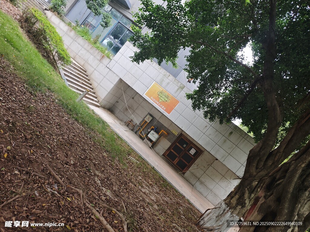 校園樹(shù)下的靜謐建筑角落