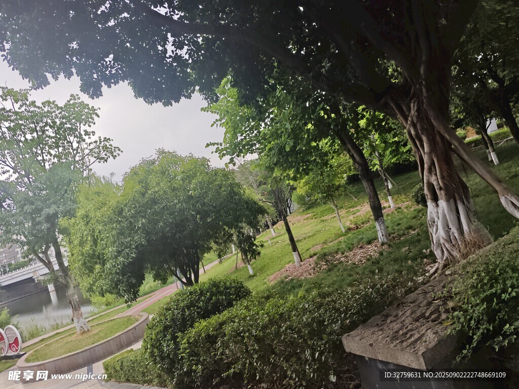 城市中的綠意盎然景觀