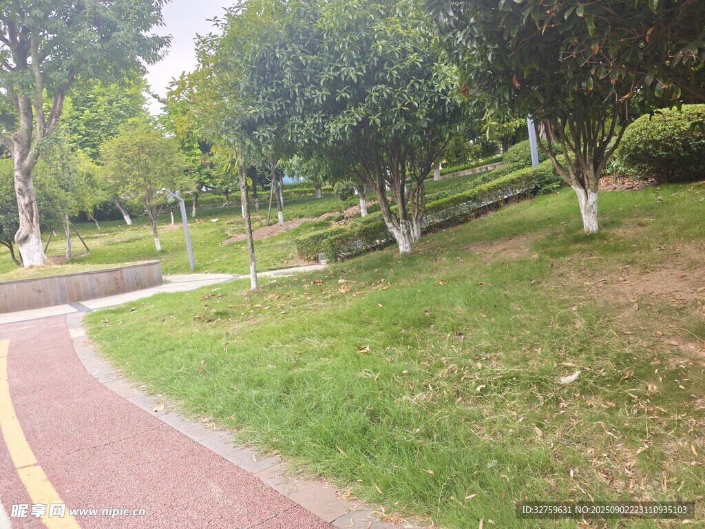 公園中的蜿蜒彩色步道