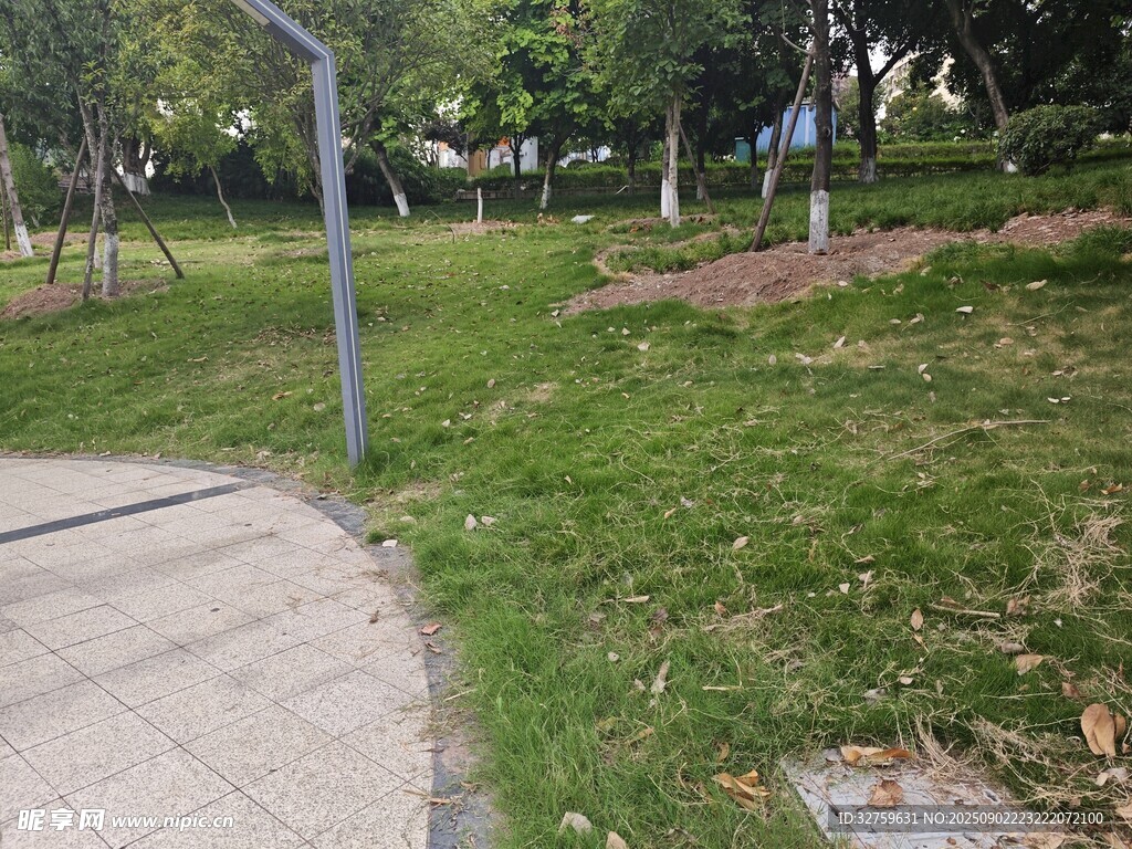 公園草地旁的小徑