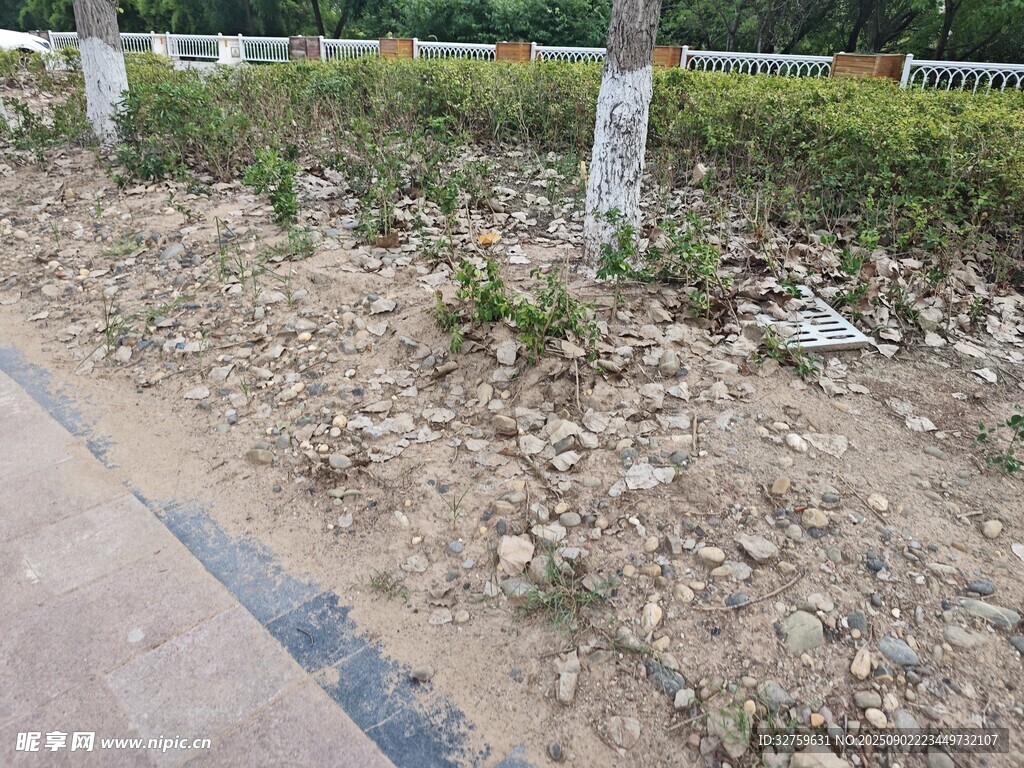 路邊碎石荒地景象