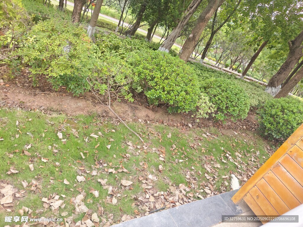 戶外綠植景觀一角