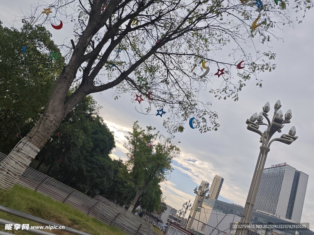 城市路旁樹木與路燈景觀