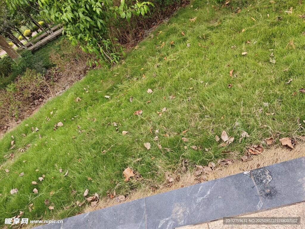 戶外草地旁的石板路