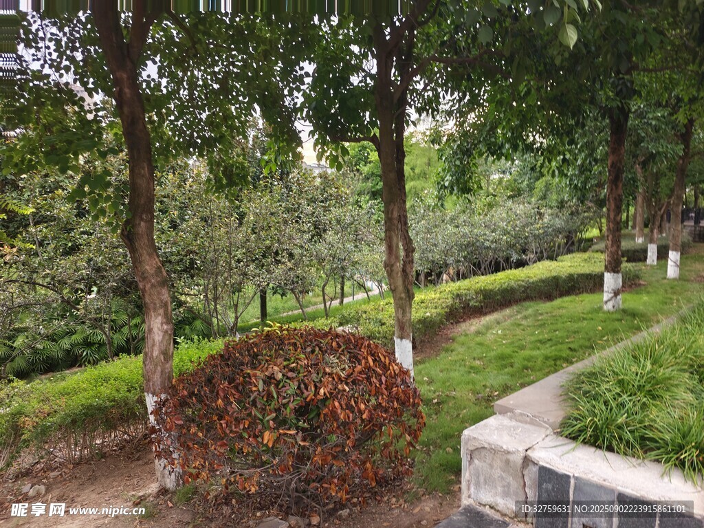 林間綠植景觀