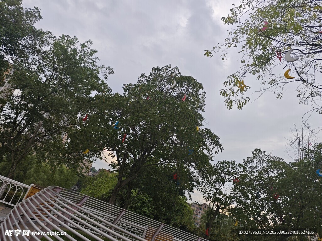 戶外樹林中的露天看臺