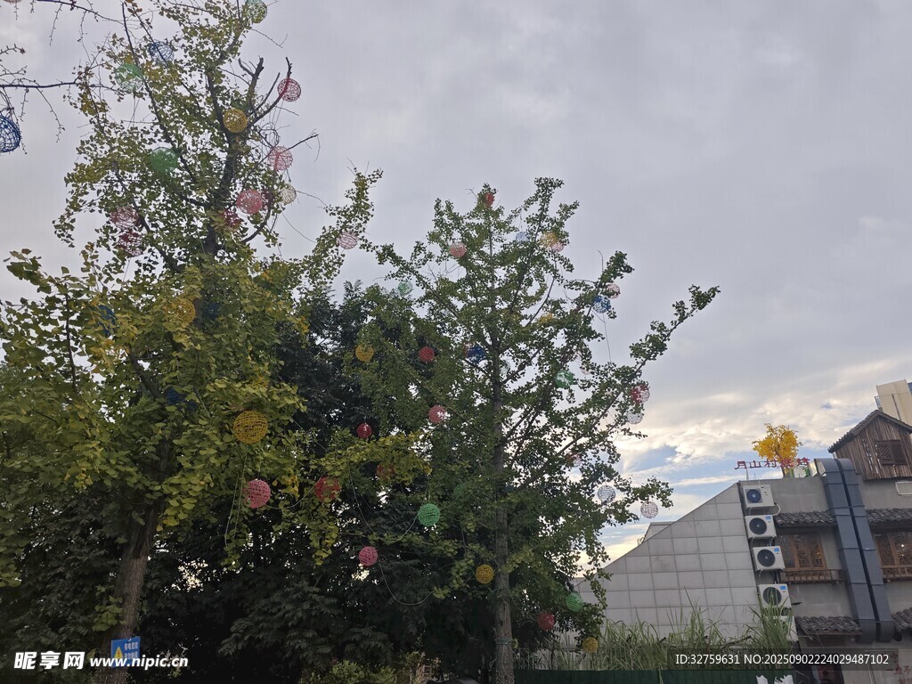 戶外綠樹與建筑景觀