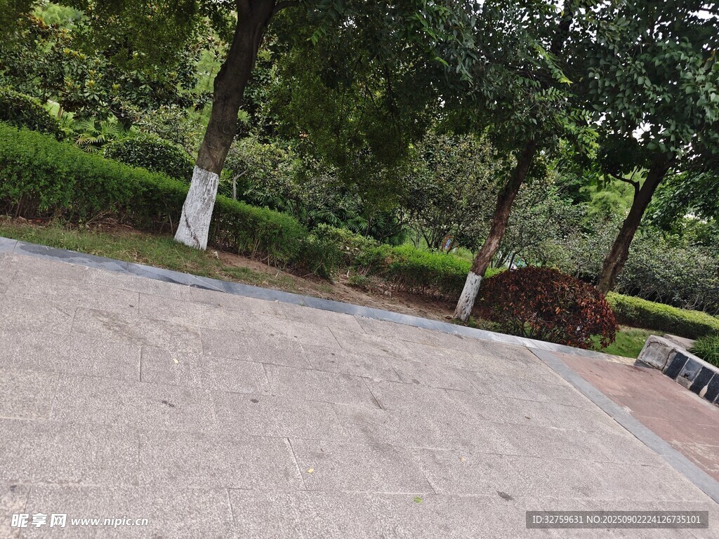公園中的寬敞水泥路面