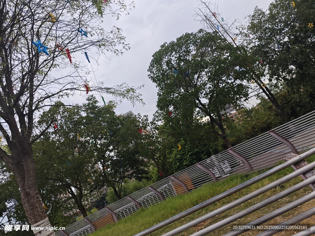 戶外林間鐵軌場景