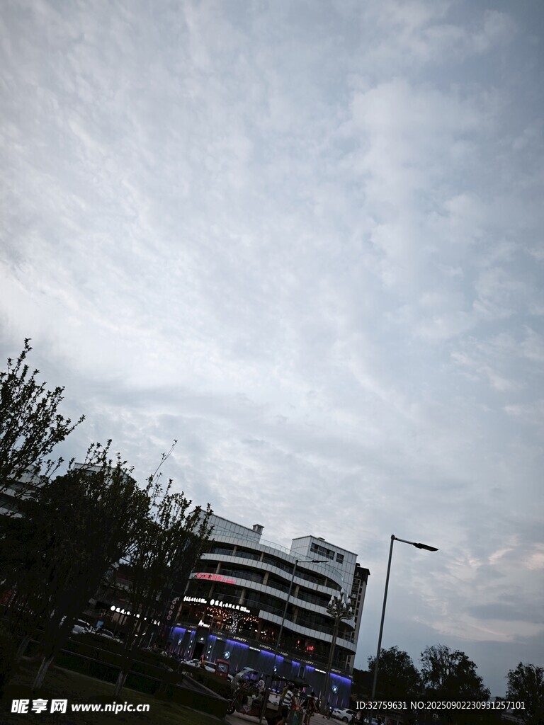 天空下的建筑與樹木