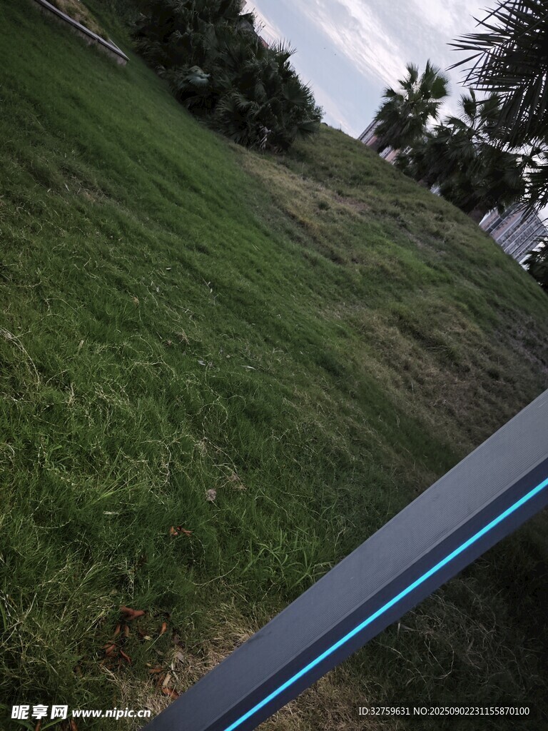 戶外草地風(fēng)景