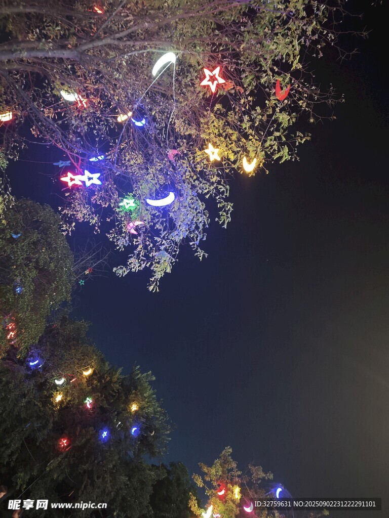 夜晚樹上五彩斑斕的裝飾燈