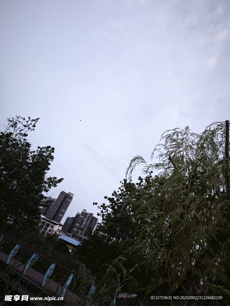城市綠植景觀