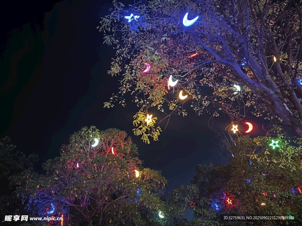 夜晚彩燈裝點的夢幻樹木