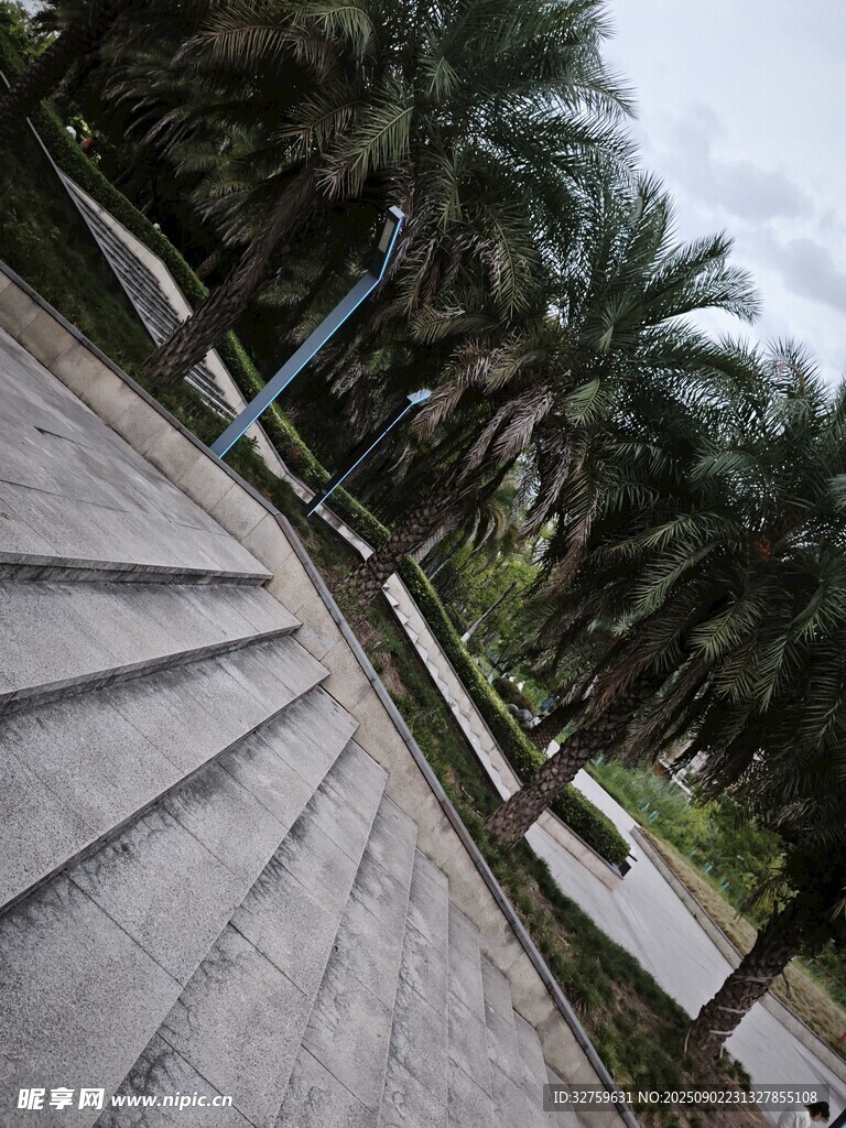 戶外階梯旁的棕櫚樹景觀