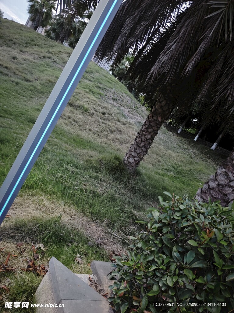戶外草地旁的藍色桿子