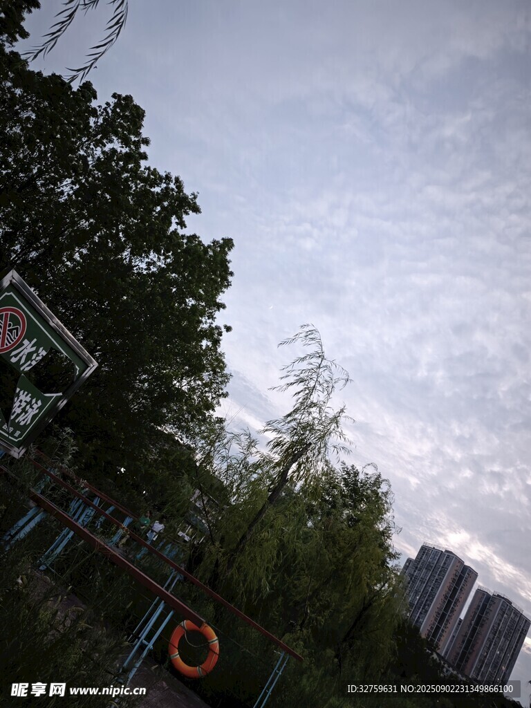戶外綠樹環(huán)繞的休閑場景