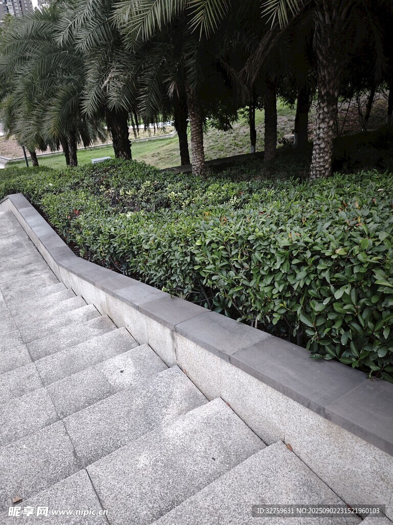 城市林蔭步道景觀