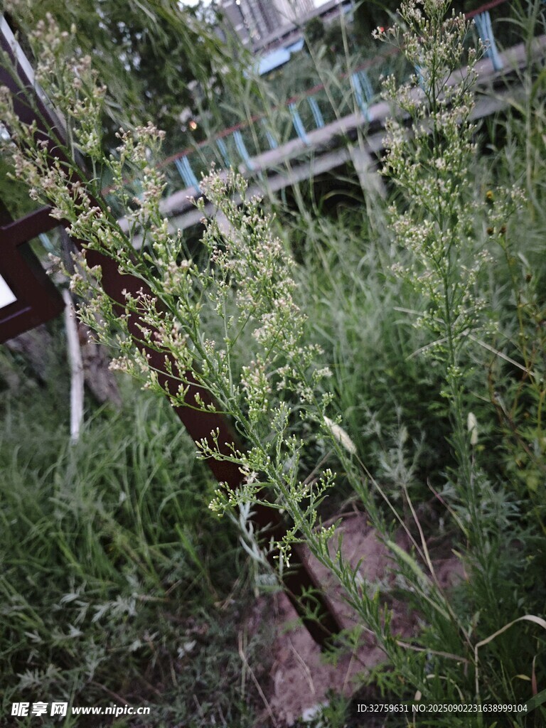 戶外綠植中的金屬桿