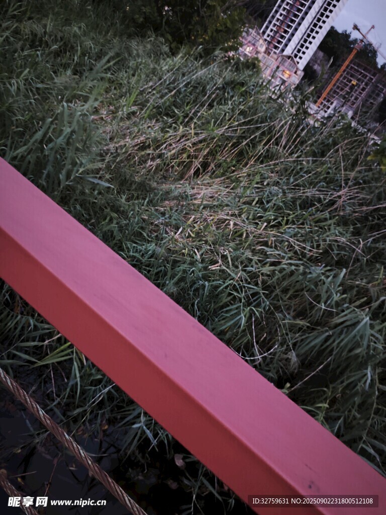 紅色欄桿旁的茂盛草地