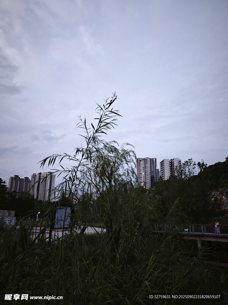 城市邊的綠植與朦朧天空