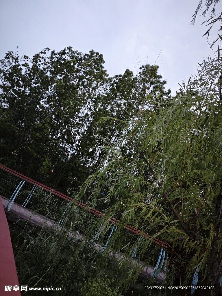戶外綠樹與紅色設(shè)施景觀