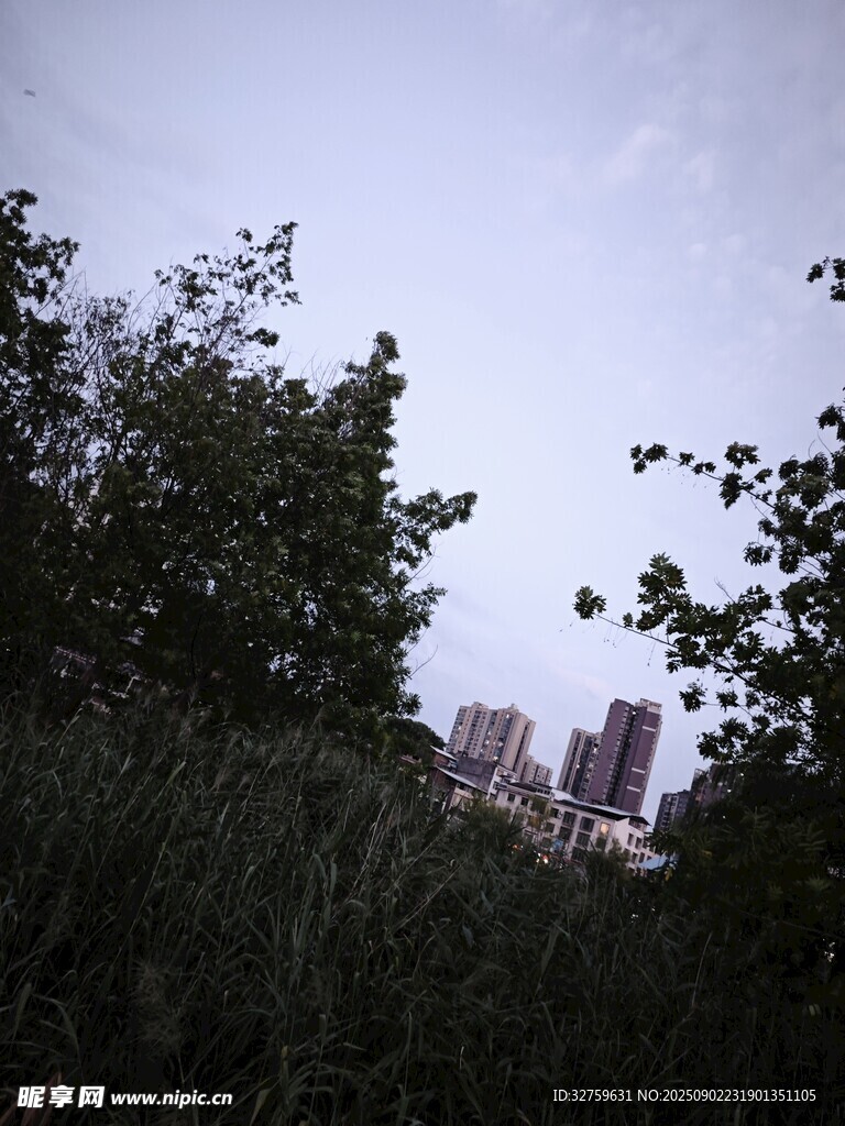 城市邊緣的綠植與高樓