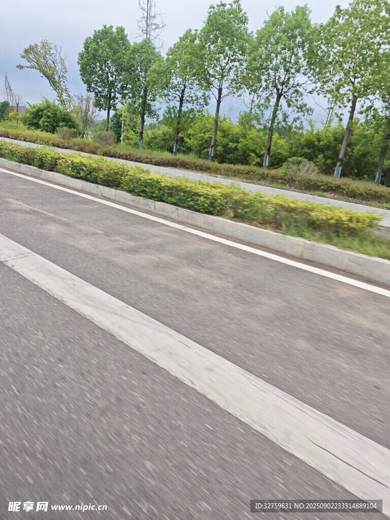 寬闊柏油道路與綠植景觀