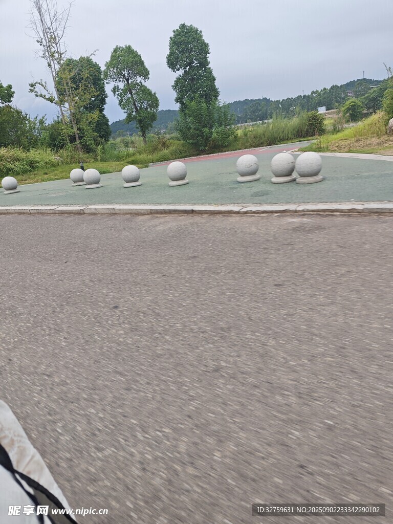 公路旁的綠意景觀