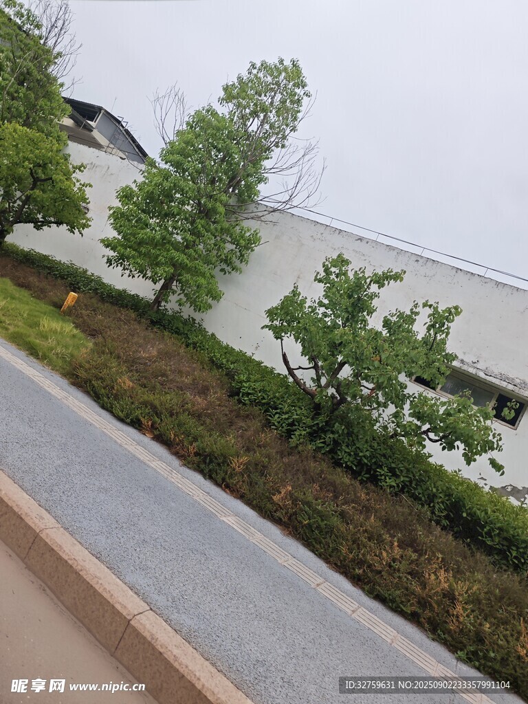 工廠旁的綠植景觀