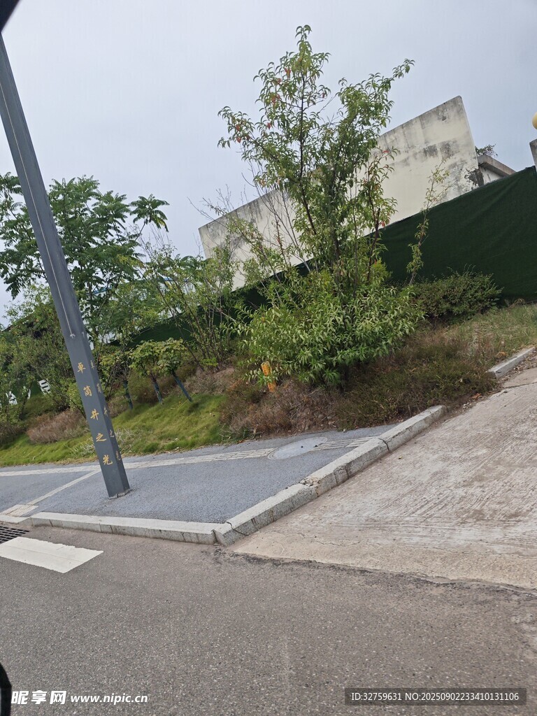 戶外道路旁的綠植景觀