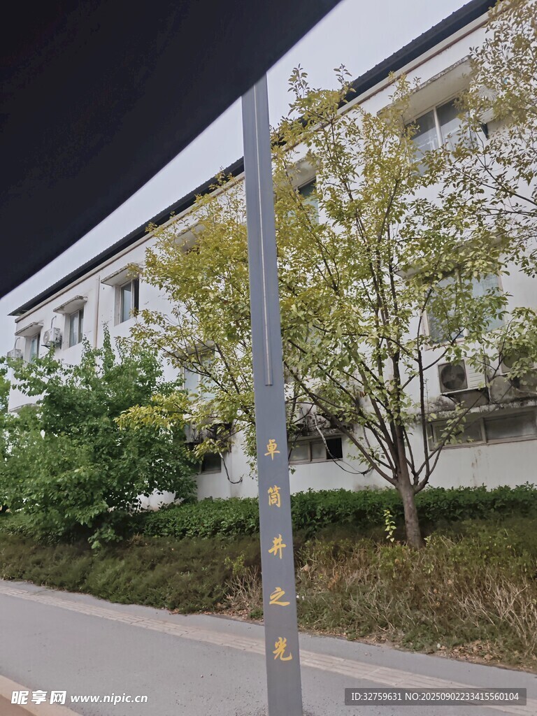 街道旁的綠植與建筑物