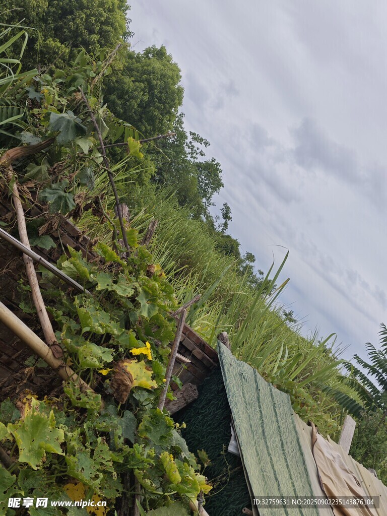 田園綠植景觀