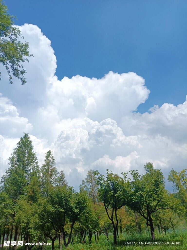 藍(lán)天白云