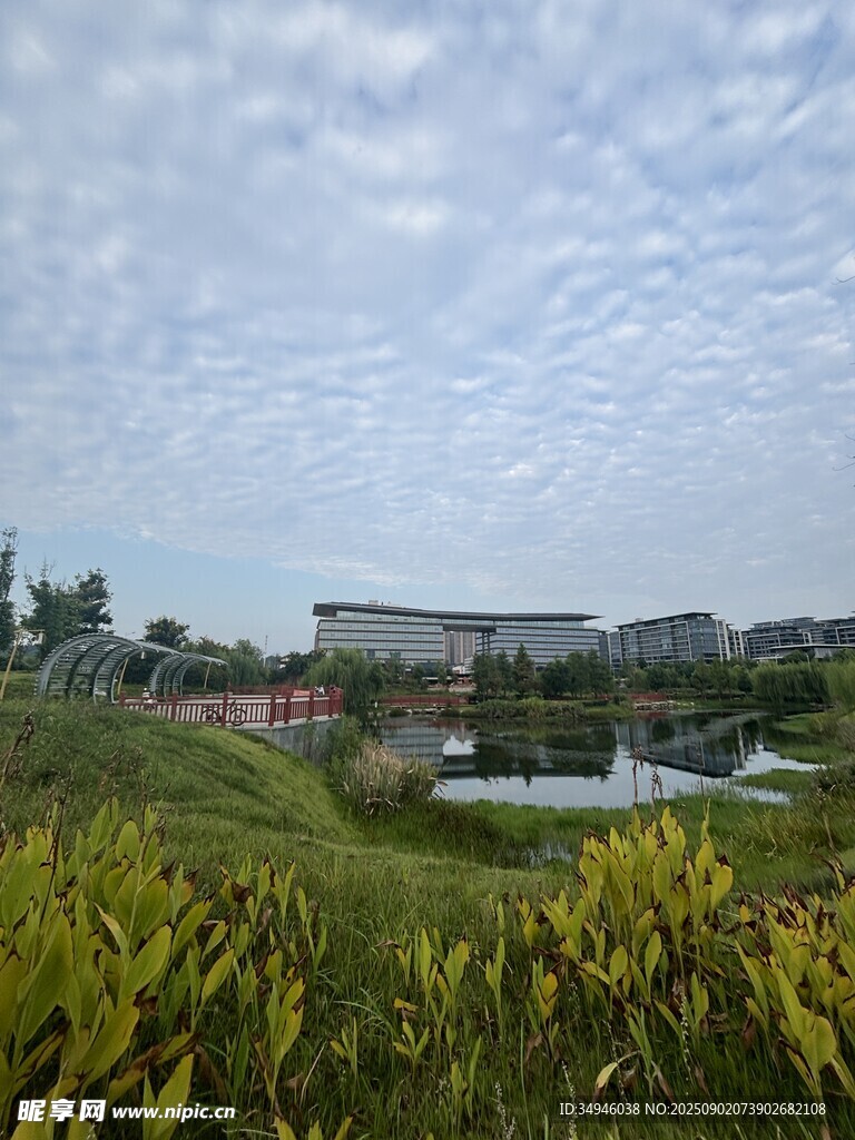 戶外綠地旁的遠(yuǎn)處建筑景觀