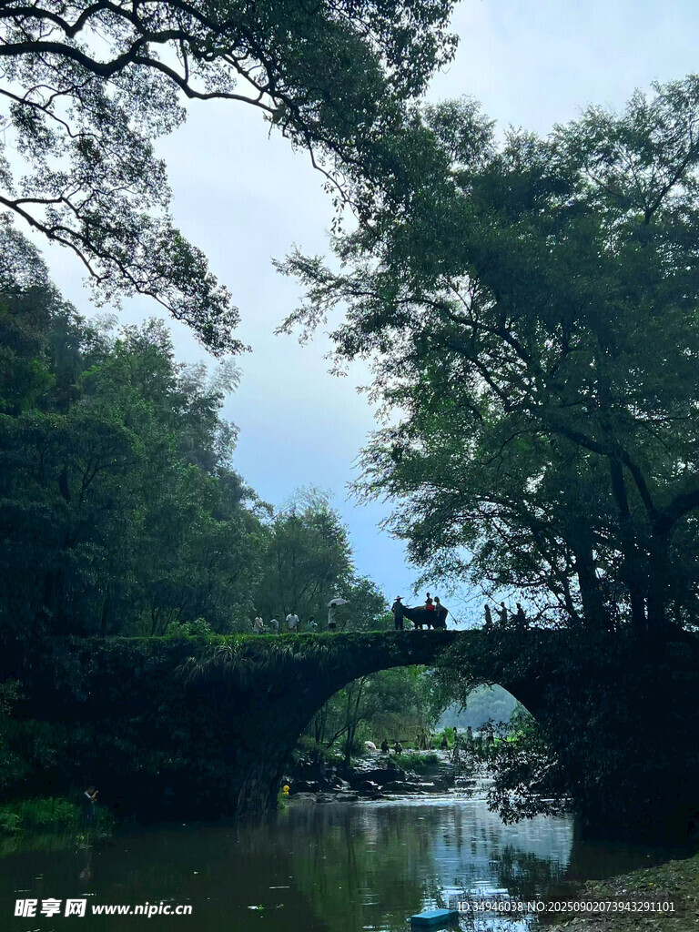 河畔石橋邊的靜謐景致