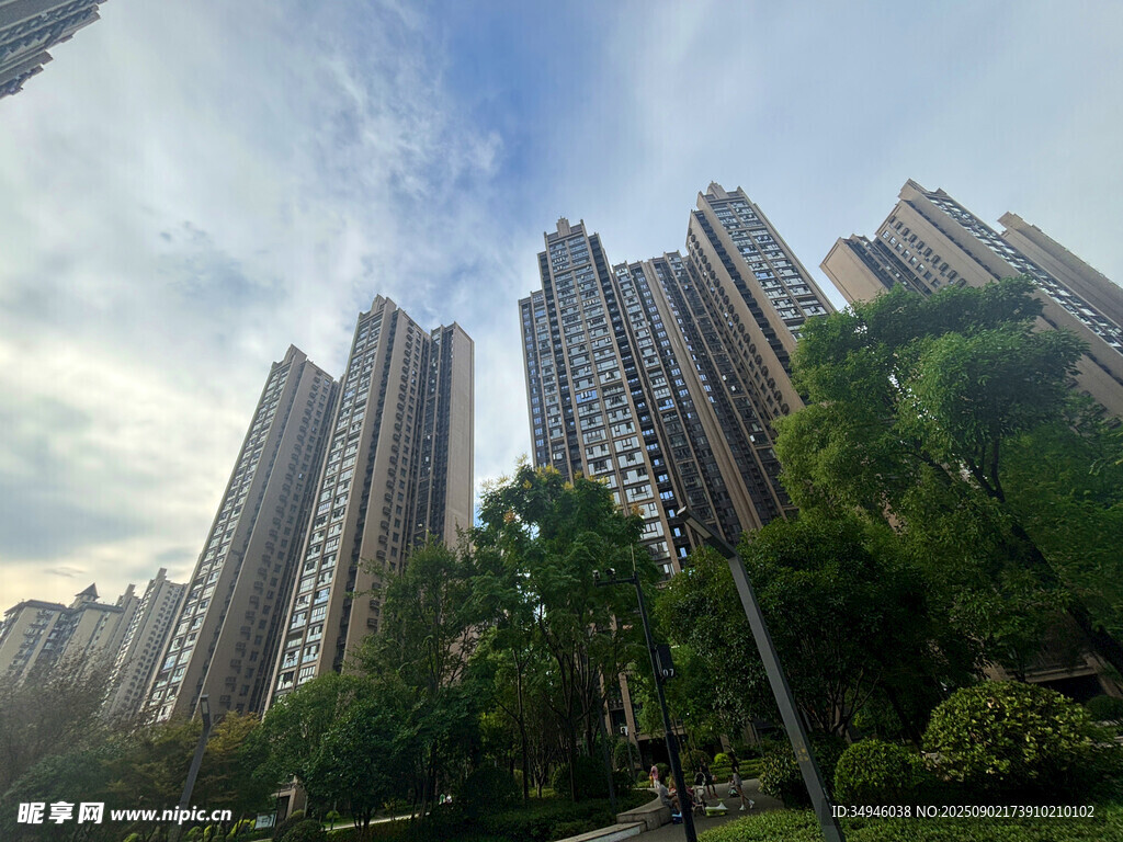 城市高樓與綠樹景觀