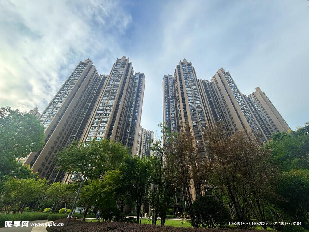 城市林立高樓與周邊綠植