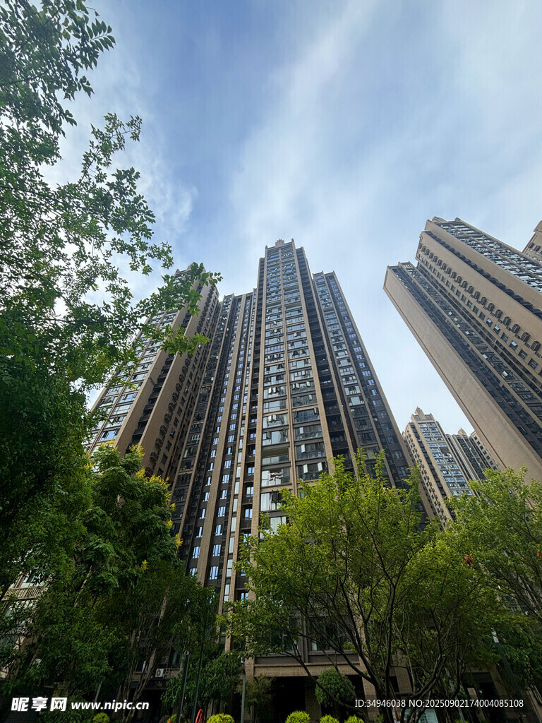 城市高樓林立綠樹相伴