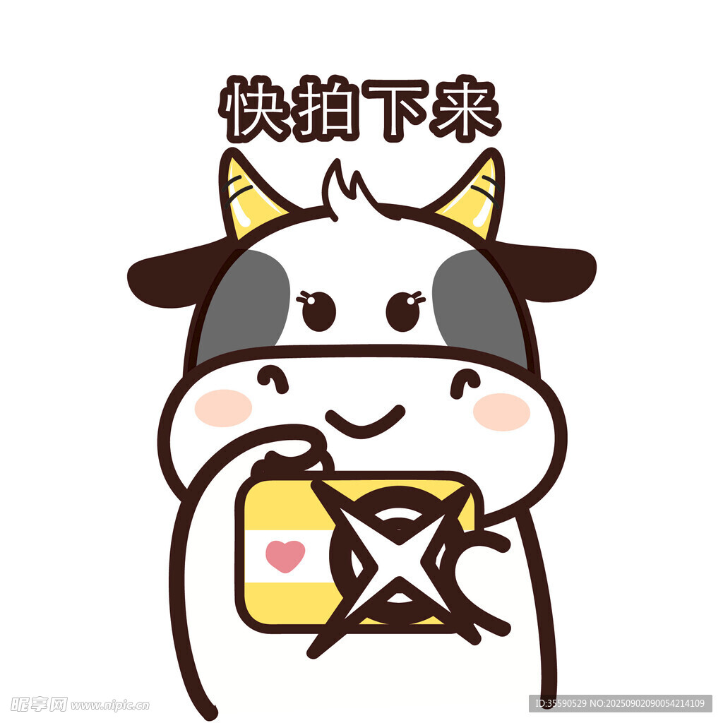 可愛小牛邀你快拍照