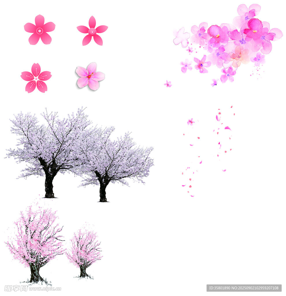 櫻花