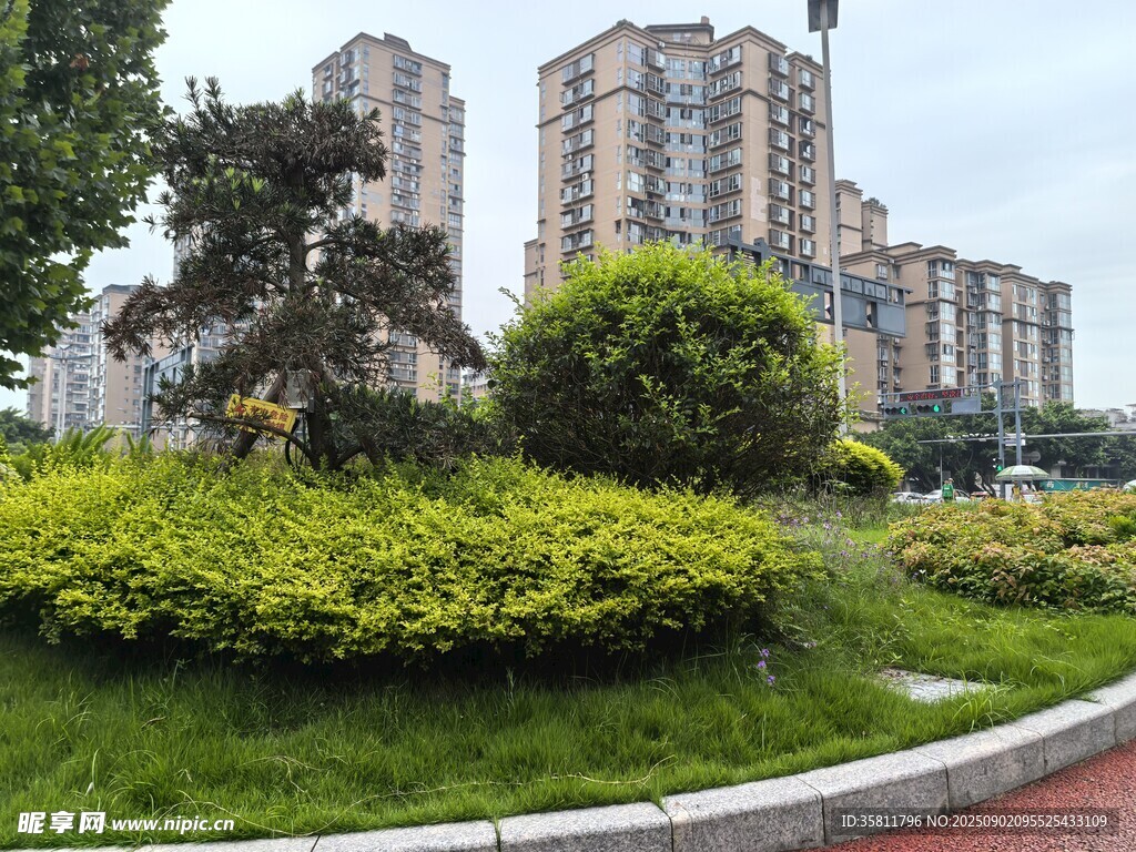 城市中的綠植景觀