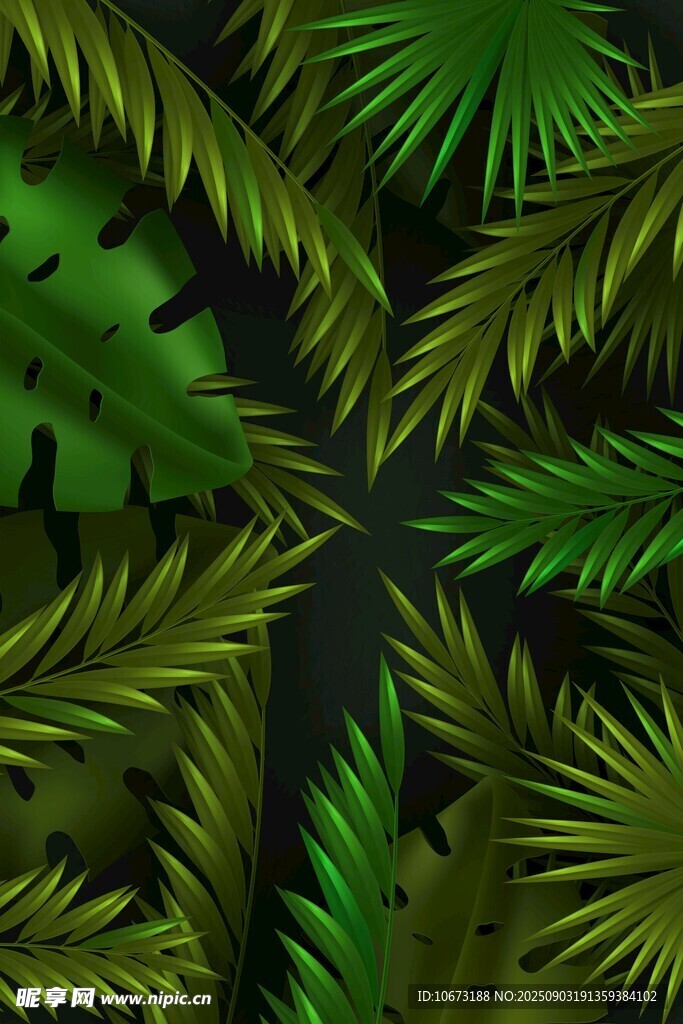 熱帶蕨類植物葉片紋理