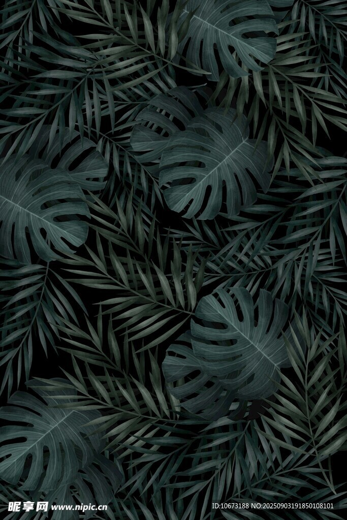 深綠熱帶植物葉片紋理
