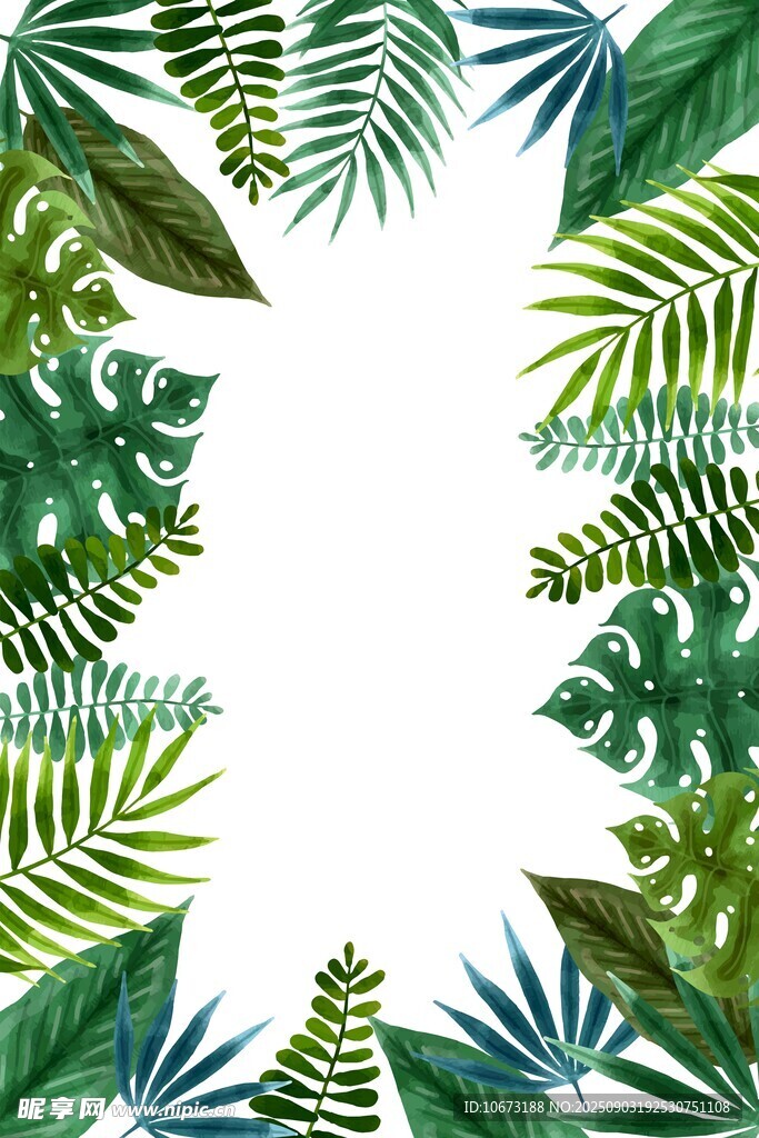熱帶植物邊框背景圖