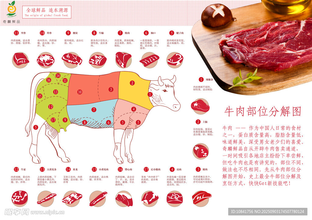 牛肉解剖圖