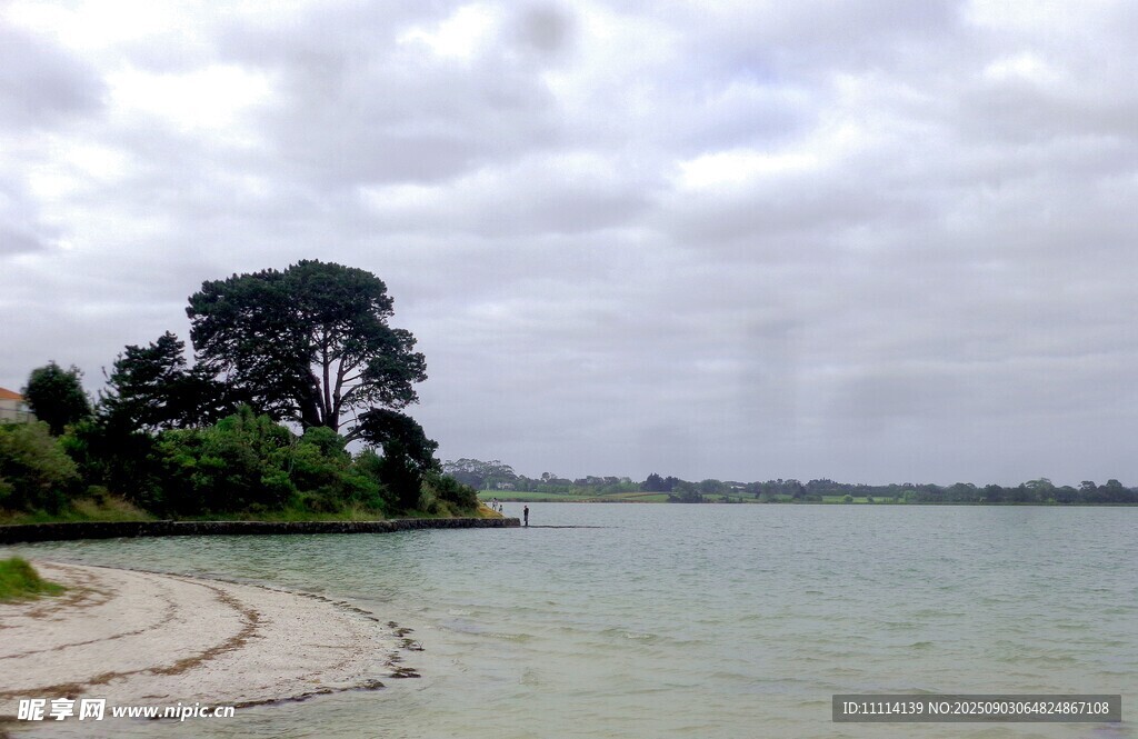 奧克蘭海灣風(fēng)景