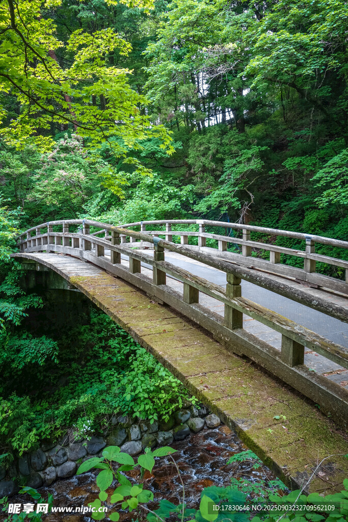 木橋棧道