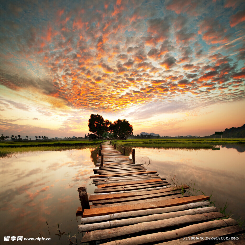 夕陽下的木棧橋與絢麗天空