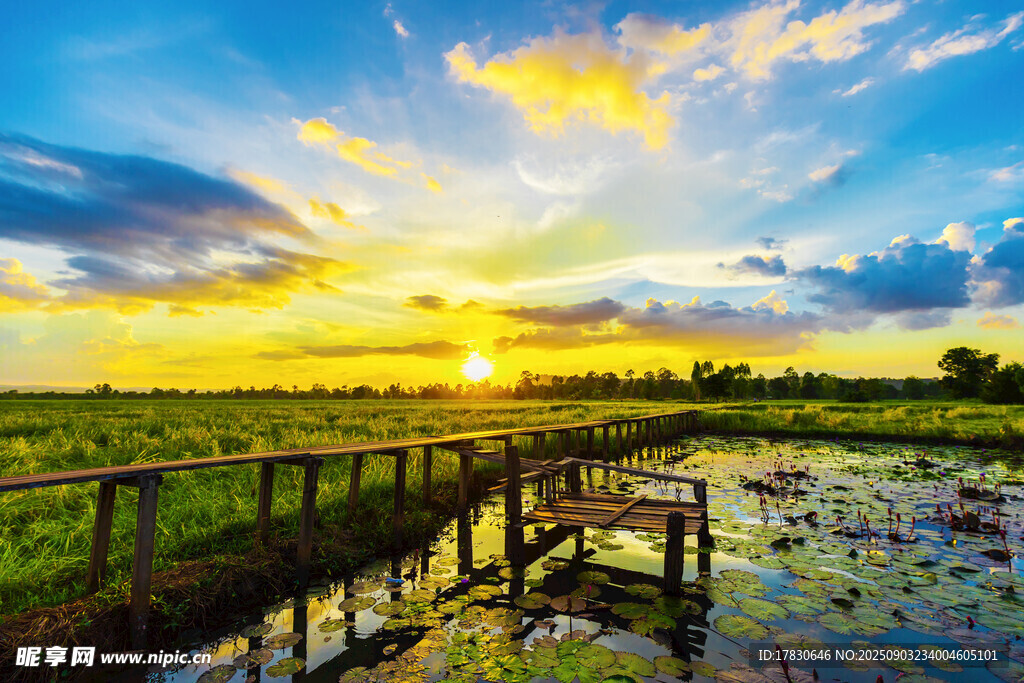 夕陽(yáng)下的木橋與濕地美景